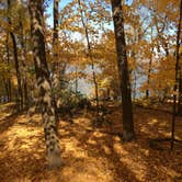 Review photo of Frontenac State Park Campground by Dani K., October 16, 2020