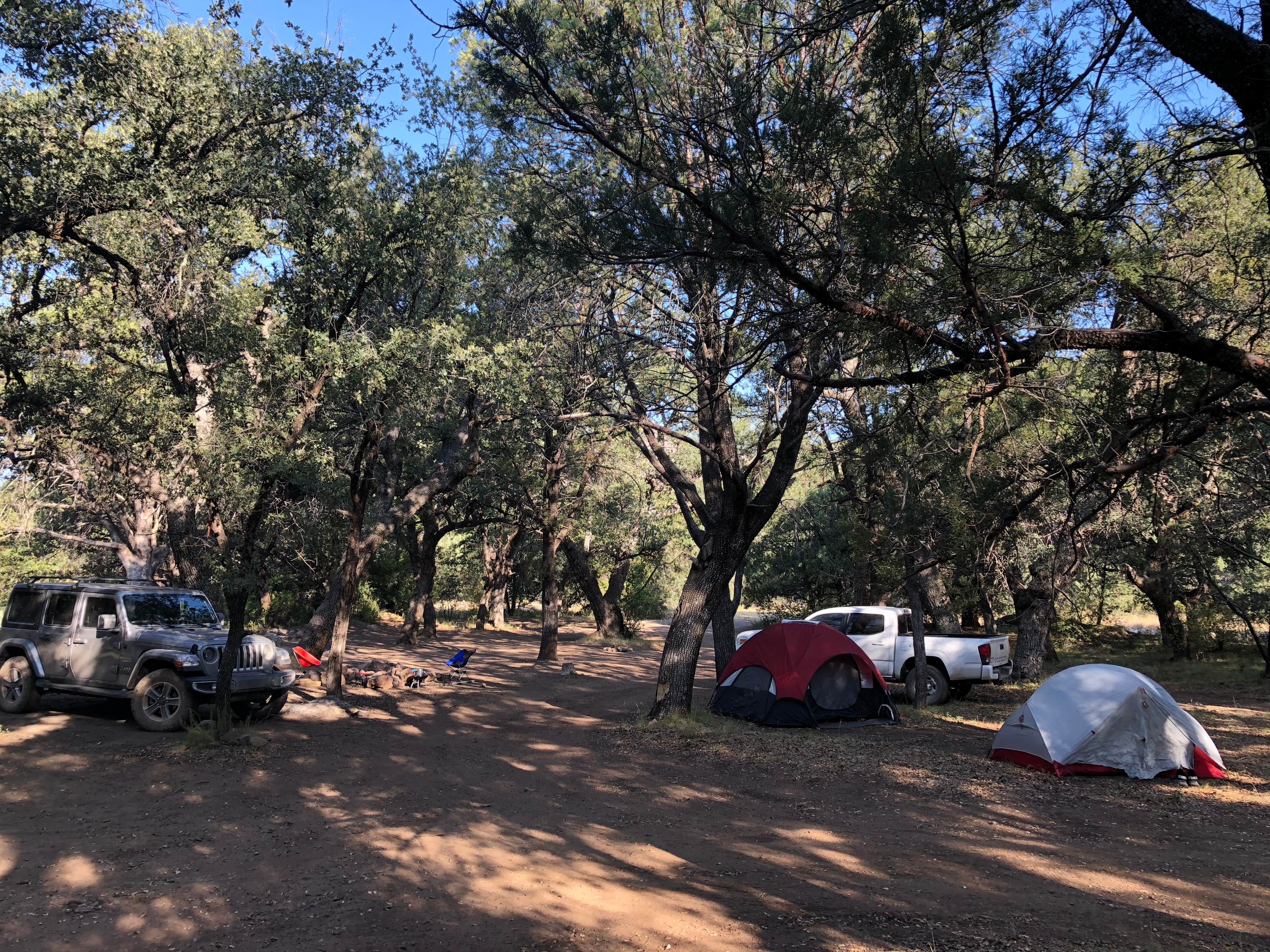 Camper-submitted photo at Pinery Canyon Road Dispersed Camping - Coronado National Forest near Chiricahua, AZ