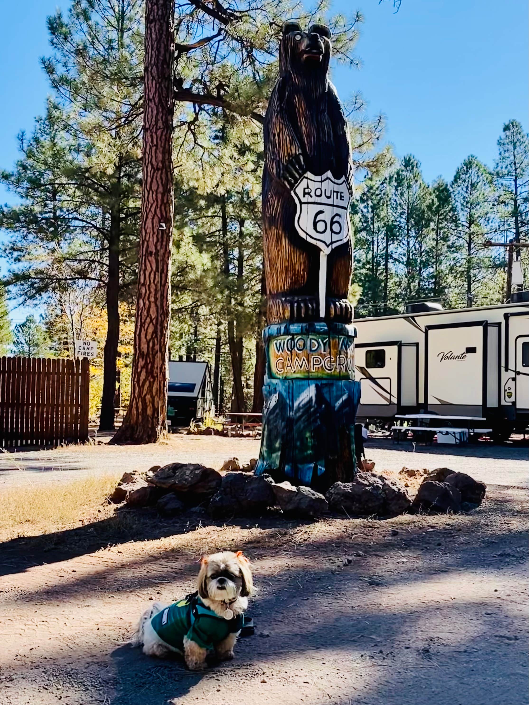 Claudia B.'s photo of camping with pets at Woody Mountain Campground & RV Park near Flagstaff, AZ