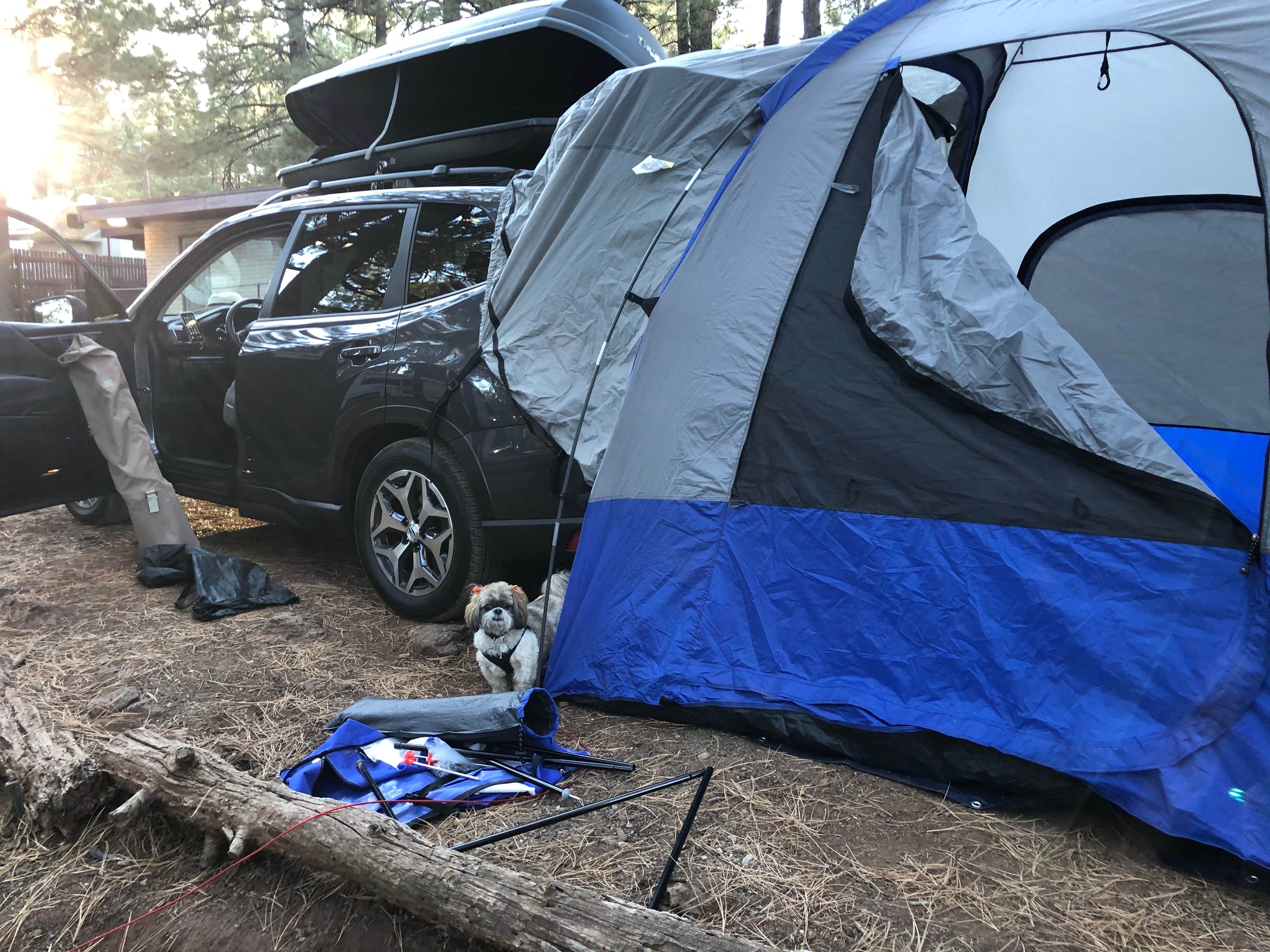 Claudia B.'s photo at Woody Mountain Campground & RV Park near Bellemont, AZ