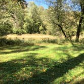 Review photo of Houchin Ferry Campground — Mammoth Cave National Park by Micah N., October 17, 2020