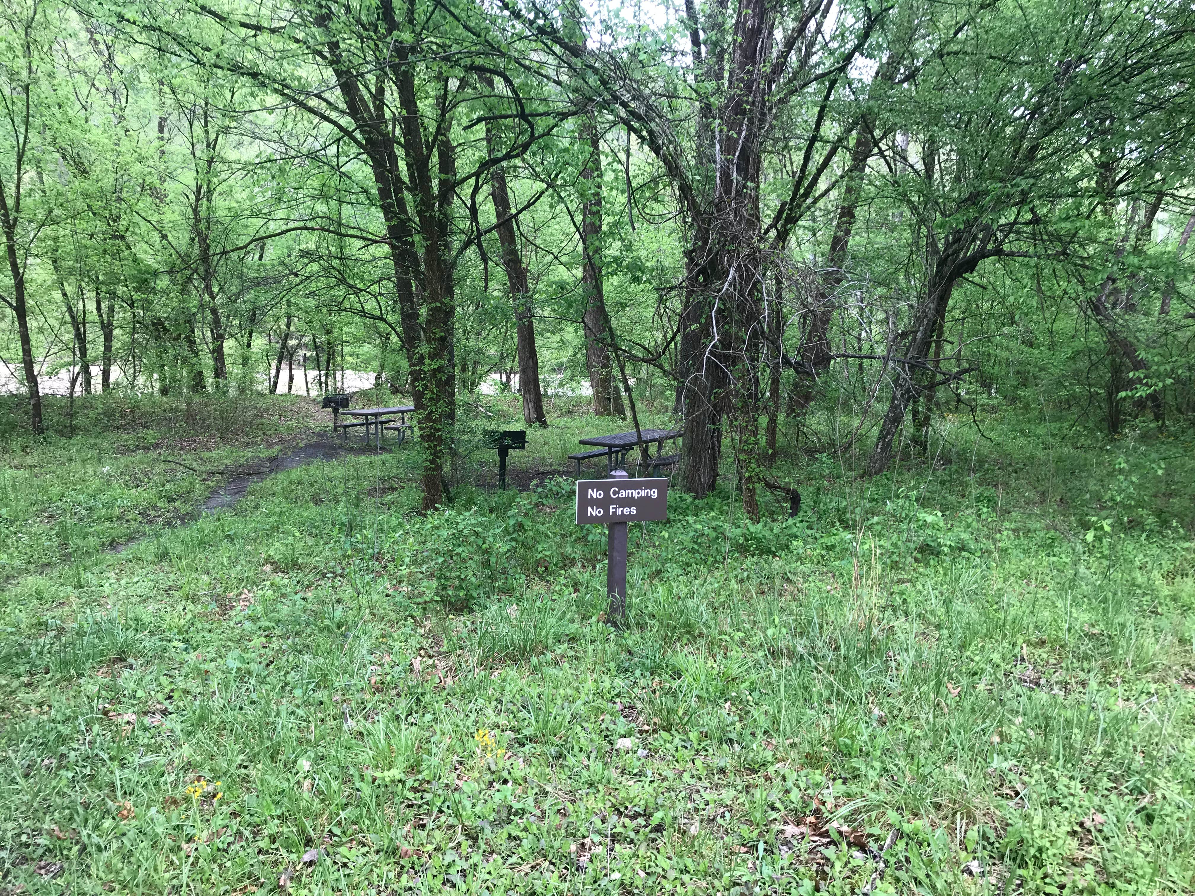 Camper-submitted photo at Army Camp — New River Gorge National Park and Preserve near Fayetteville, WV