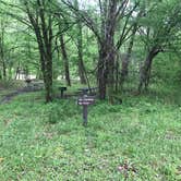 Review photo of Army Camp — New River Gorge National Park and Preserve by Dave V., May 21, 2018