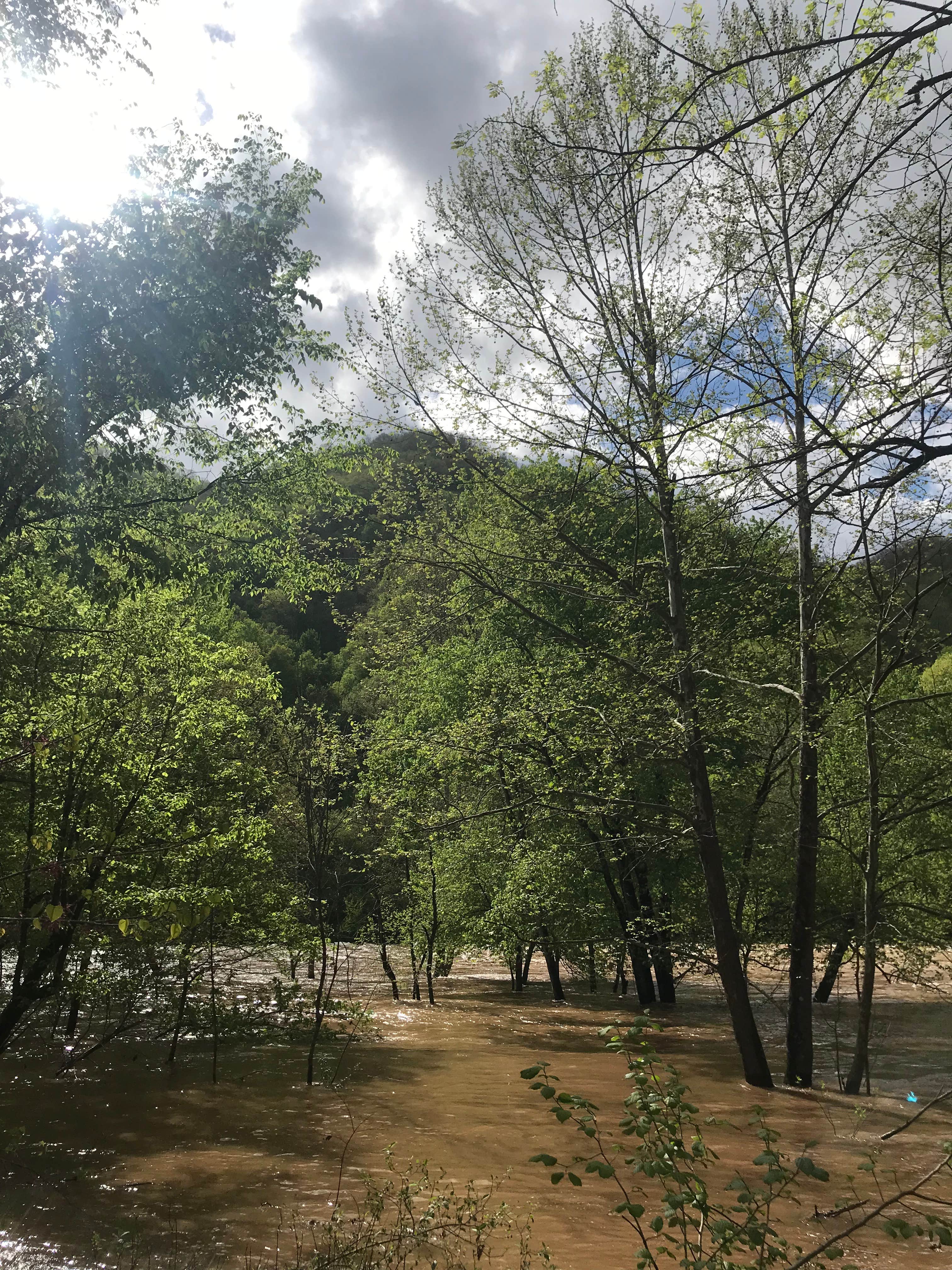 Camper-submitted photo at Army Camp — New River Gorge National Park and Preserve near Fayetteville, WV