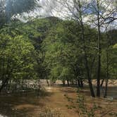 Review photo of Army Camp — New River Gorge National Park and Preserve by Dave V., May 21, 2018