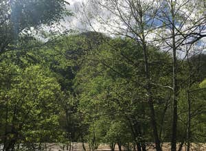 Army Camp — New River Gorge National Park and Preserve