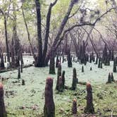 Review photo of Otter Springs Resort Park and Campground by L O., October 14, 2020