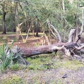 Review photo of Otter Springs Resort Park and Campground by L O., October 14, 2020