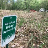 Review photo of Army Camp — New River Gorge National Park and Preserve by Dave V., May 21, 2018