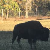 Review photo of Ouabache State Park Campground by Darrell B., October 17, 2020