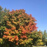 Review photo of Ouabache State Park Campground by Darrell B., October 17, 2020