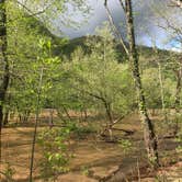 Review photo of Army Camp — New River Gorge National Park and Preserve by Dave V., May 21, 2018