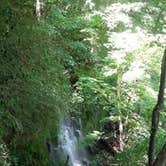 Review photo of Rock Island State Park Campground by Kevin B., July 9, 2016