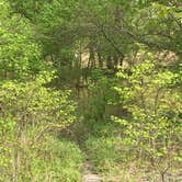 Review photo of Army Camp — New River Gorge National Park and Preserve by Dave V., May 21, 2018