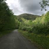 Review photo of Army Camp — New River Gorge National Park and Preserve by Dave V., May 21, 2018