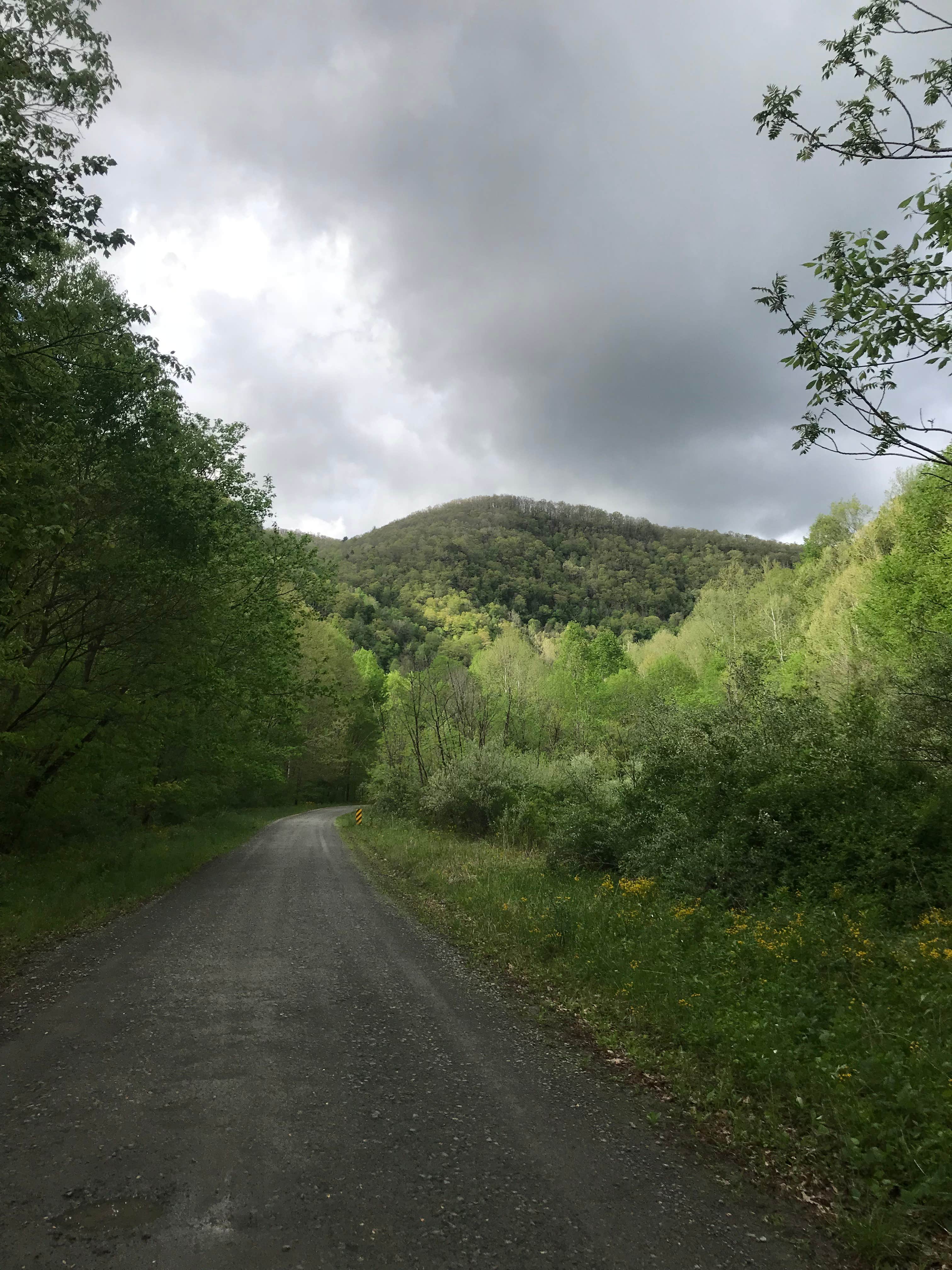 Camper submitted image from Army Camp — New River Gorge National Park and Preserve - 3