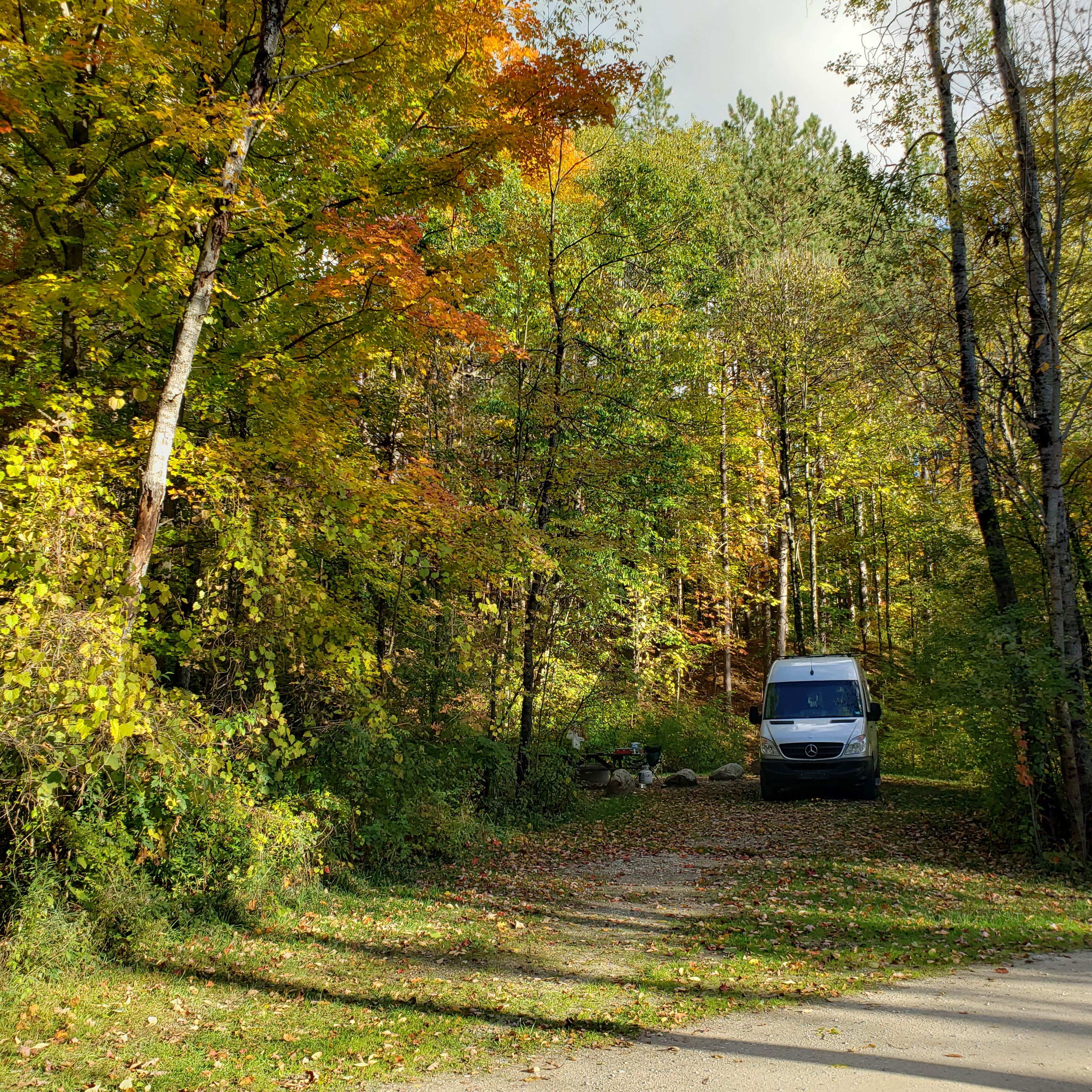 Camper-submitted photo at Silver Creek State Forest Campground near South Branch, MI