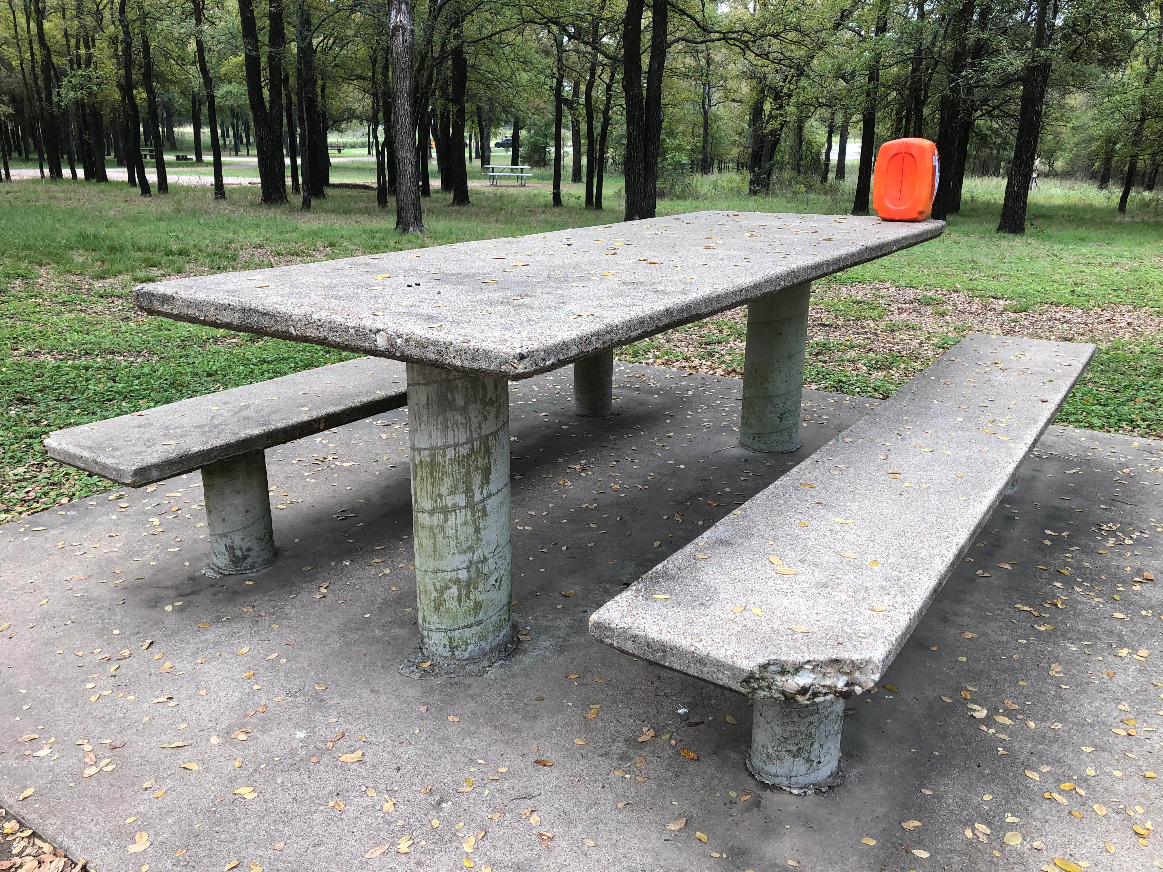 Camper-submitted photo at Lake Whitney State Park Campground near Glen Rose, TX