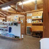 Review photo of Otter Springs Resort Park and Campground by L O., October 14, 2020