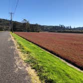 Review photo of Grayland Beach State Park Campground by Brad , October 17, 2020