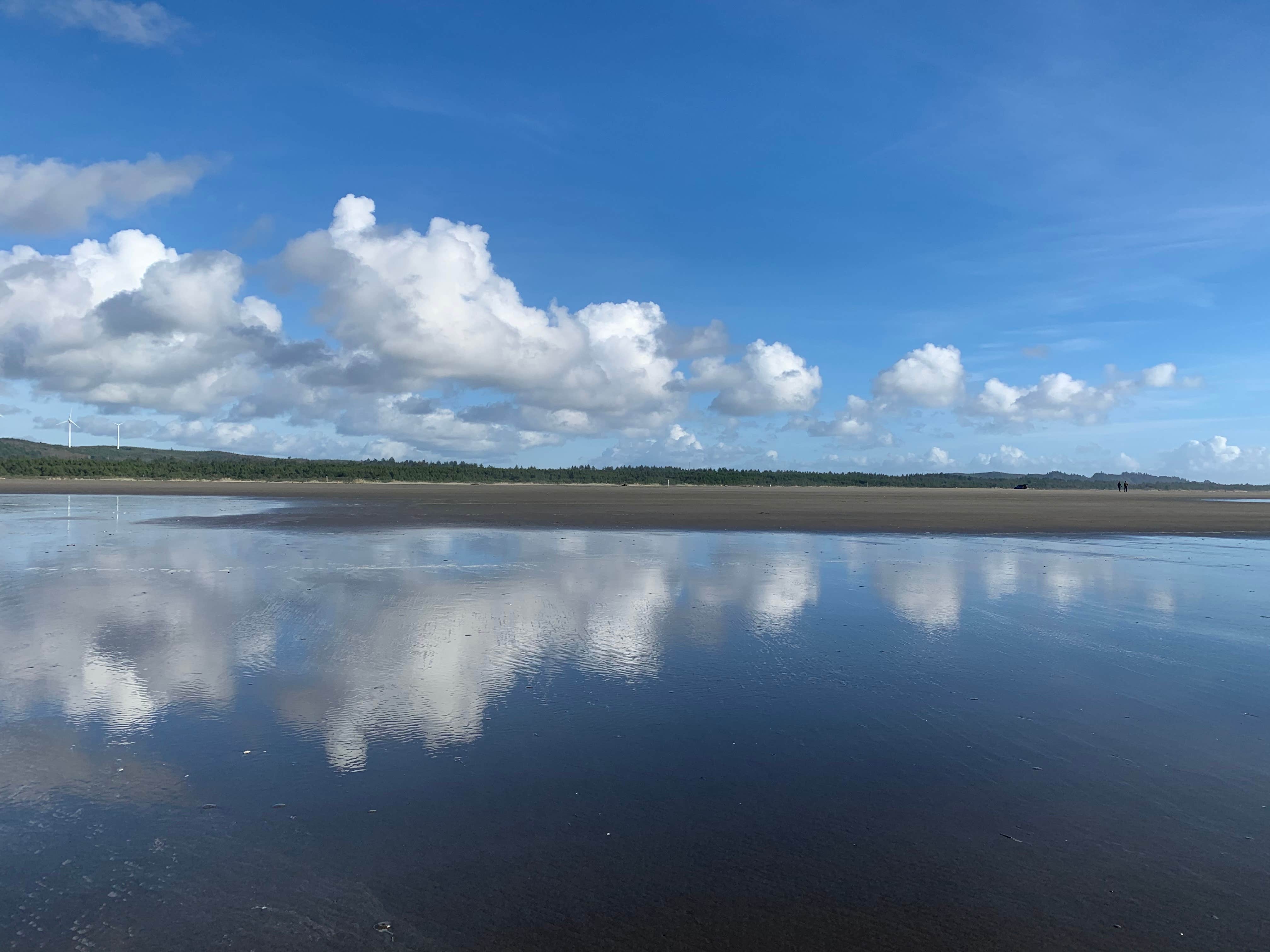 Twin Harbors State Park The Dyrt