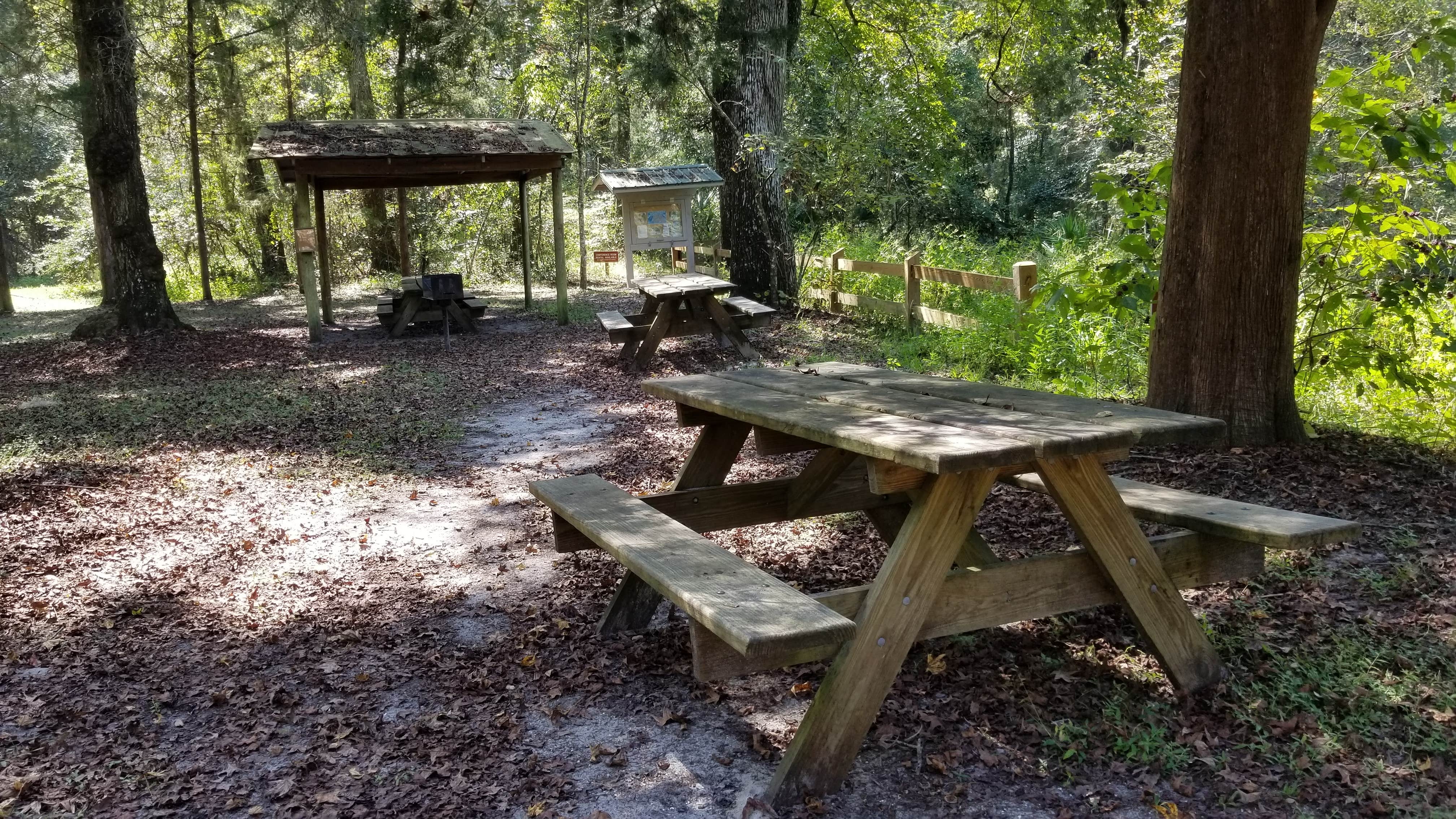 Camper-submitted photo at Fanning Springs State Park Campground near Trenton, FL