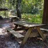Review photo of Fanning Springs State Park Campground by L O., October 17, 2020