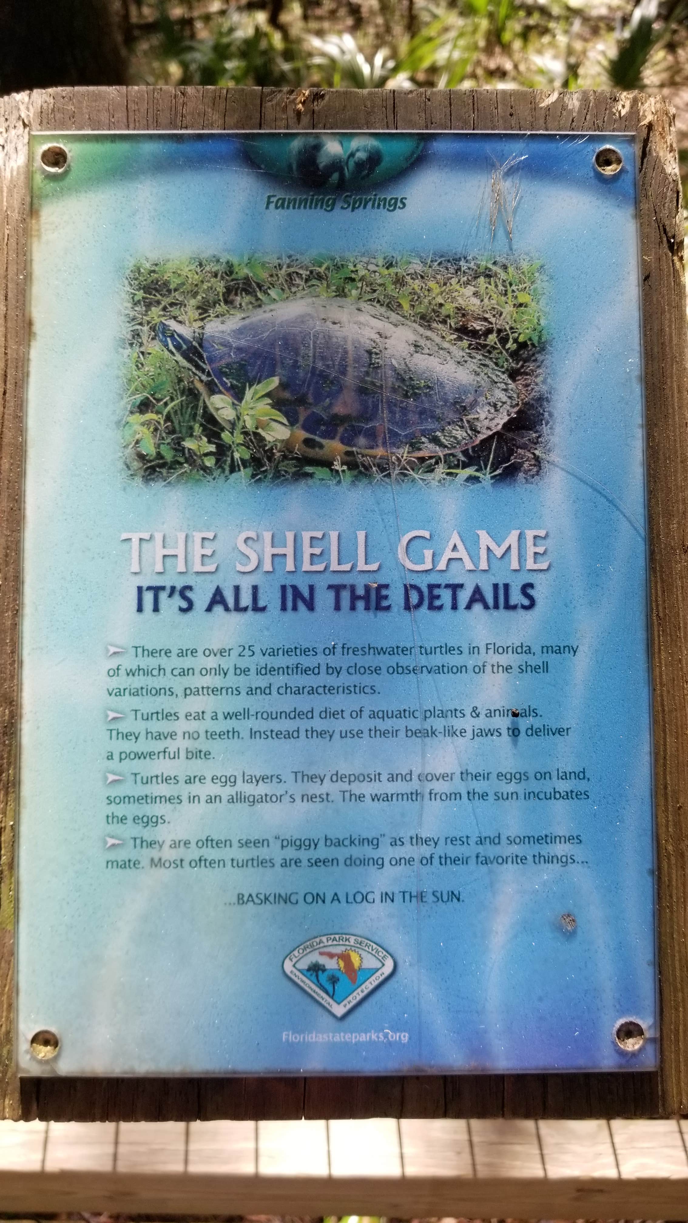 Camper-submitted photo at Fanning Springs State Park Campground near Trenton, FL