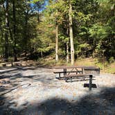 Review photo of Cossatot Falls Campsites — Cossatot River State Park - Natural Area by Wenona D., October 17, 2020