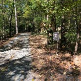 Review photo of Cossatot Falls Campsites — Cossatot River State Park - Natural Area by Wenona D., October 17, 2020