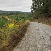 Review photo of Cossatot Falls Campsites — Cossatot River State Park - Natural Area by Wenona D., October 17, 2020