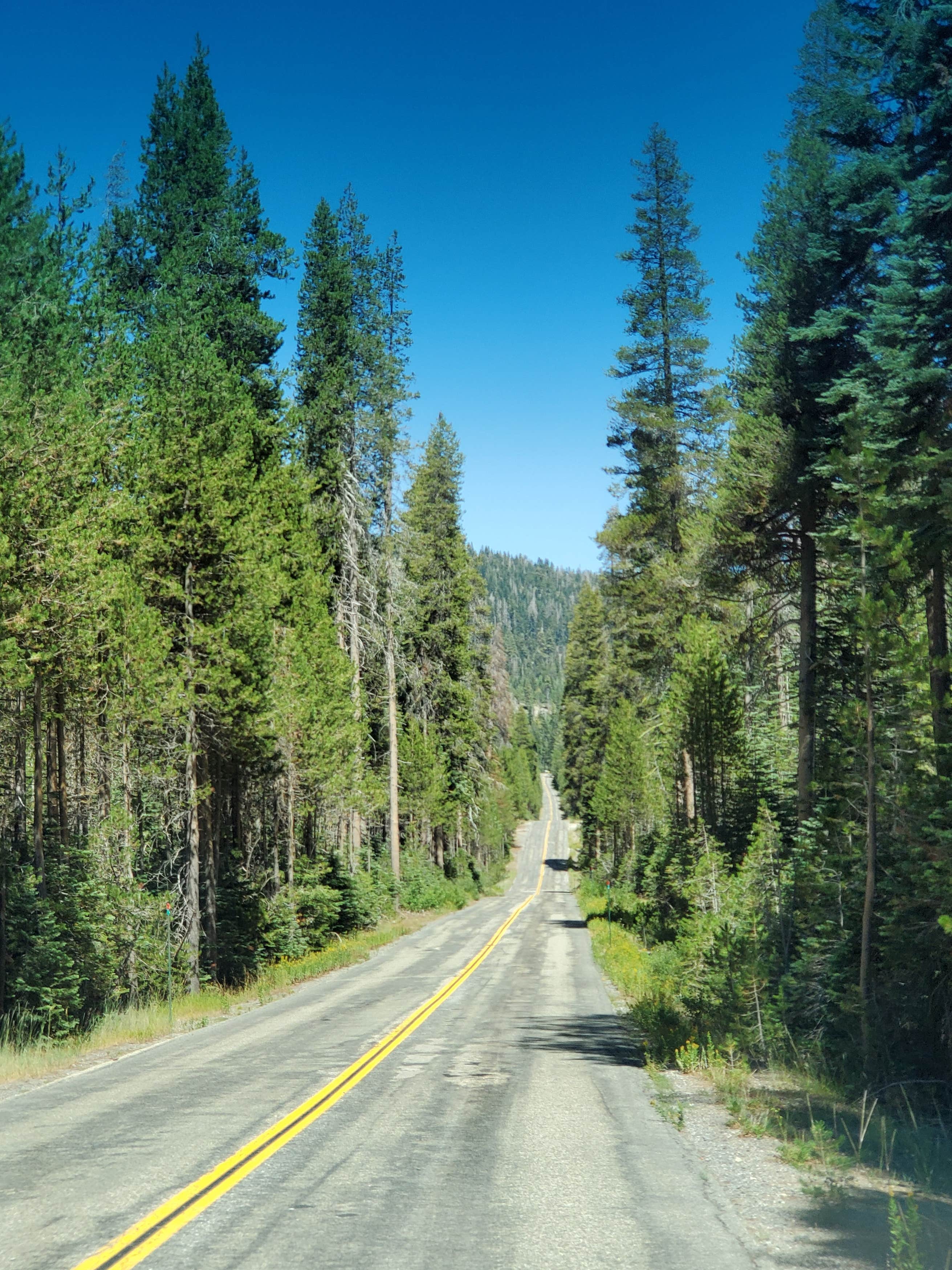 Wishon Village RV Resort Camping The Dyrt