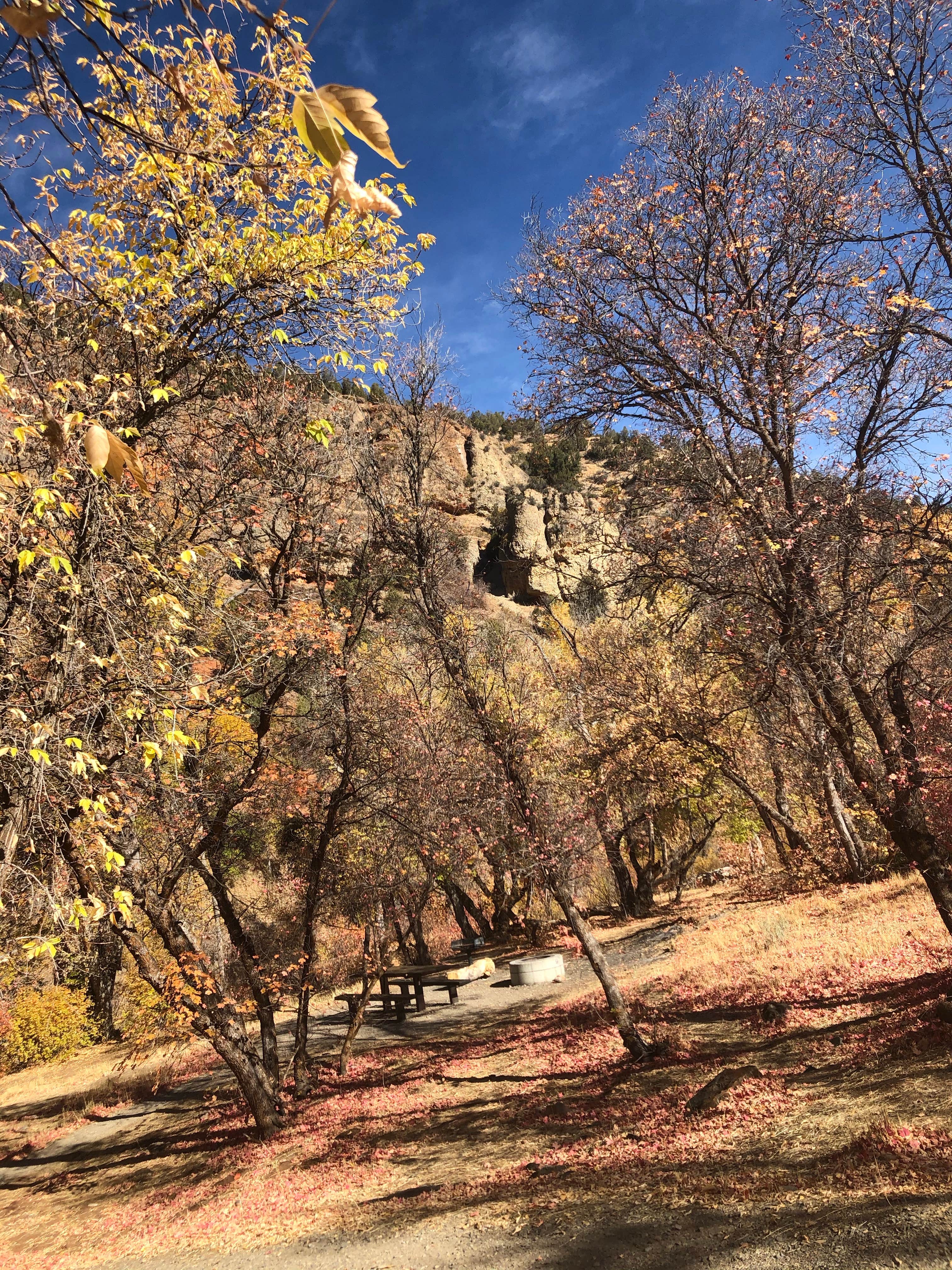 Camper-submitted photo at Dry Canyon near Orem, UT
