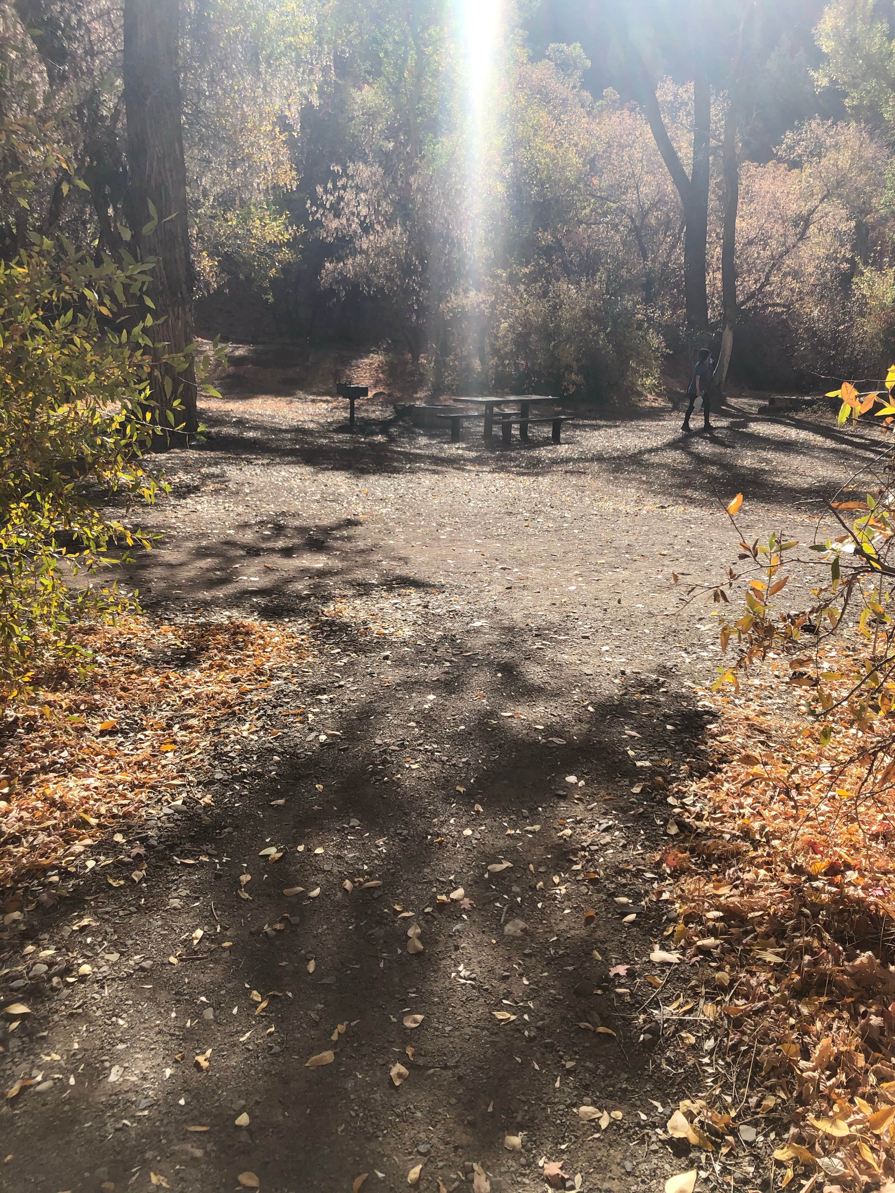 Camper-submitted photo at Dry Canyon near Orem, UT