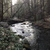 Review photo of Foster Falls Campground — South Cumberland State Park by Stefan A., May 21, 2018