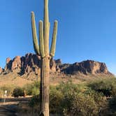 Review photo of Lost Dutchman State Park Campground by Alexandra T., October 17, 2020