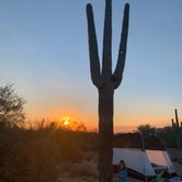 Review photo of Lost Dutchman State Park Campground by Alexandra T., October 17, 2020