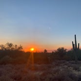 Review photo of Lost Dutchman State Park Campground by Alexandra T., October 17, 2020