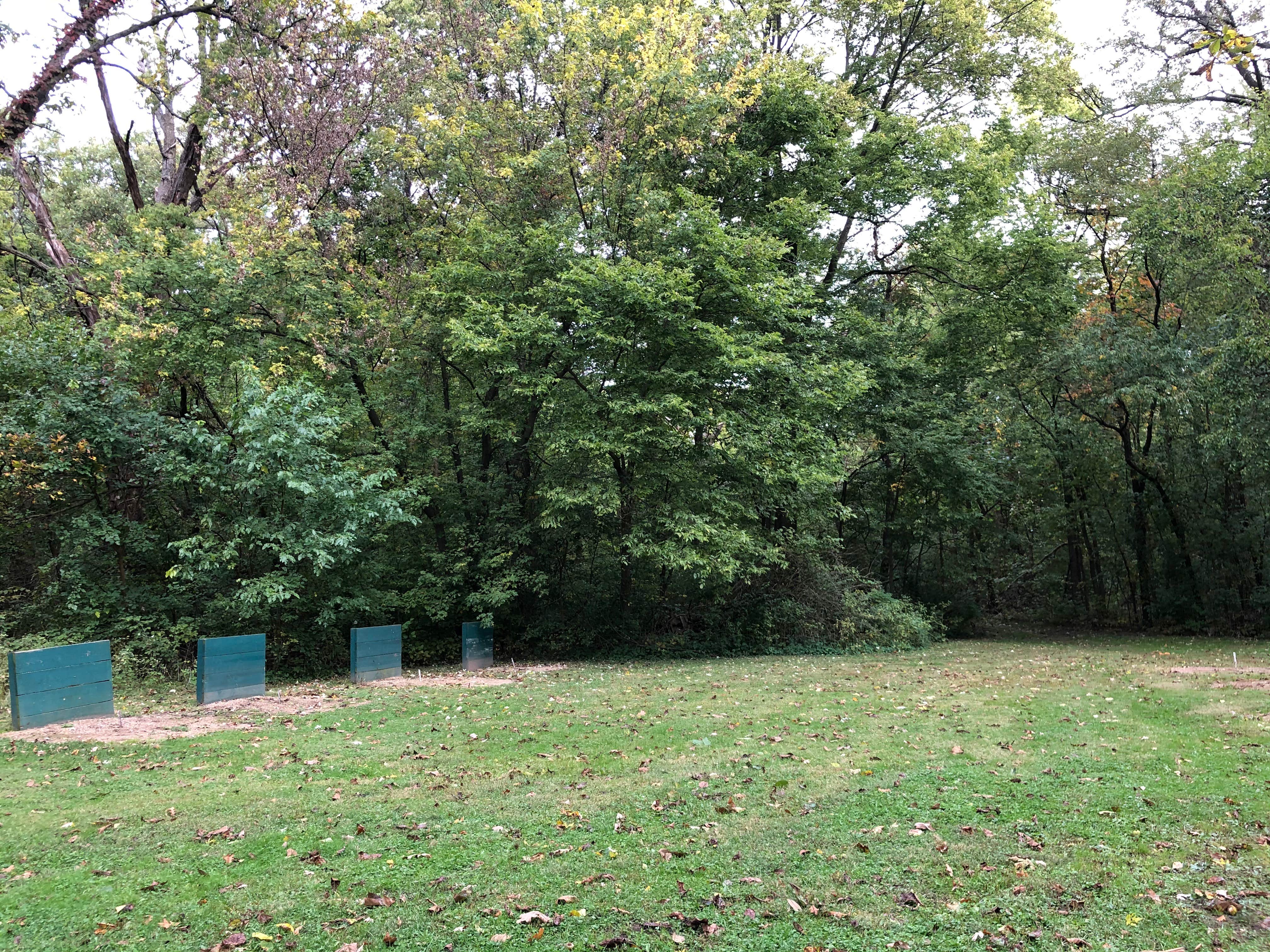 Camper-submitted photo at Francis City Park near Wyoming, IL