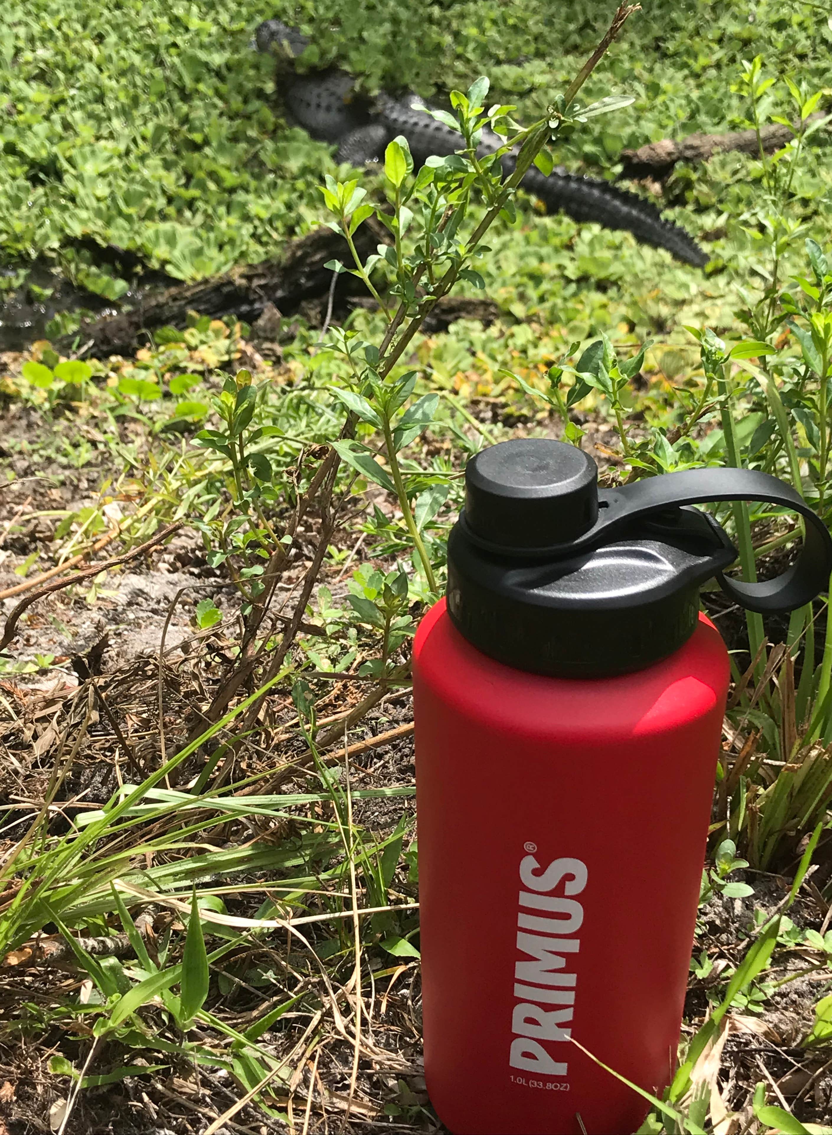 Camper-submitted photo at Army Camp — New River Gorge National Park and Preserve near Fayetteville, WV