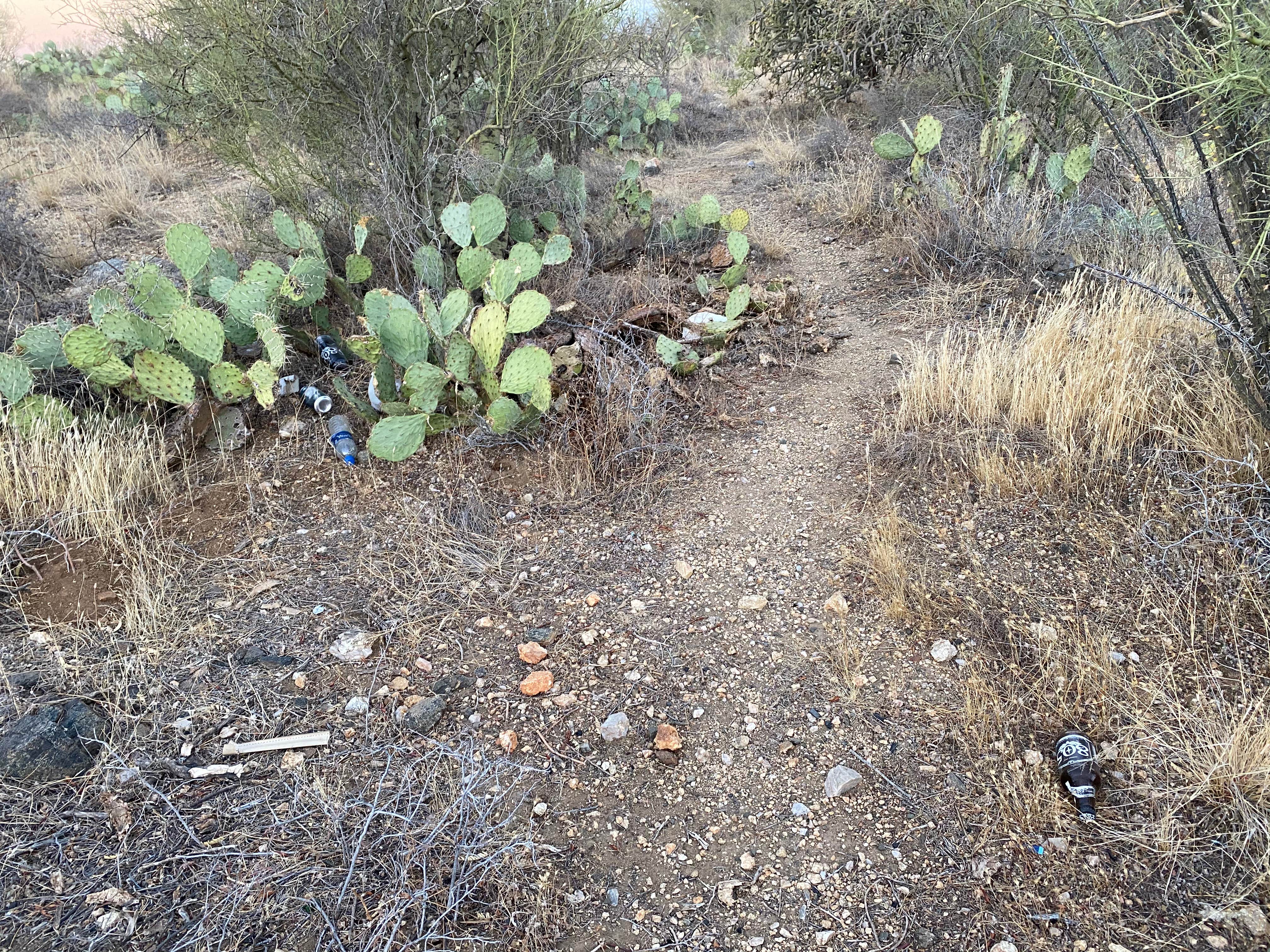 Camper submitted image from Redington Pass - Dispersed Camping - 3