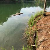 Review photo of Red Top Mountain State Park Campground by Len Y., May 21, 2018