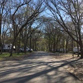 Review photo of Palmetto State Park Campground by Napunani , October 17, 2020