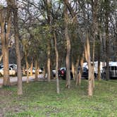 Review photo of Palmetto State Park Campground by Napunani , October 17, 2020