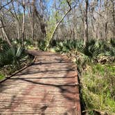 Review photo of Palmetto State Park Campground by Napunani , October 17, 2020