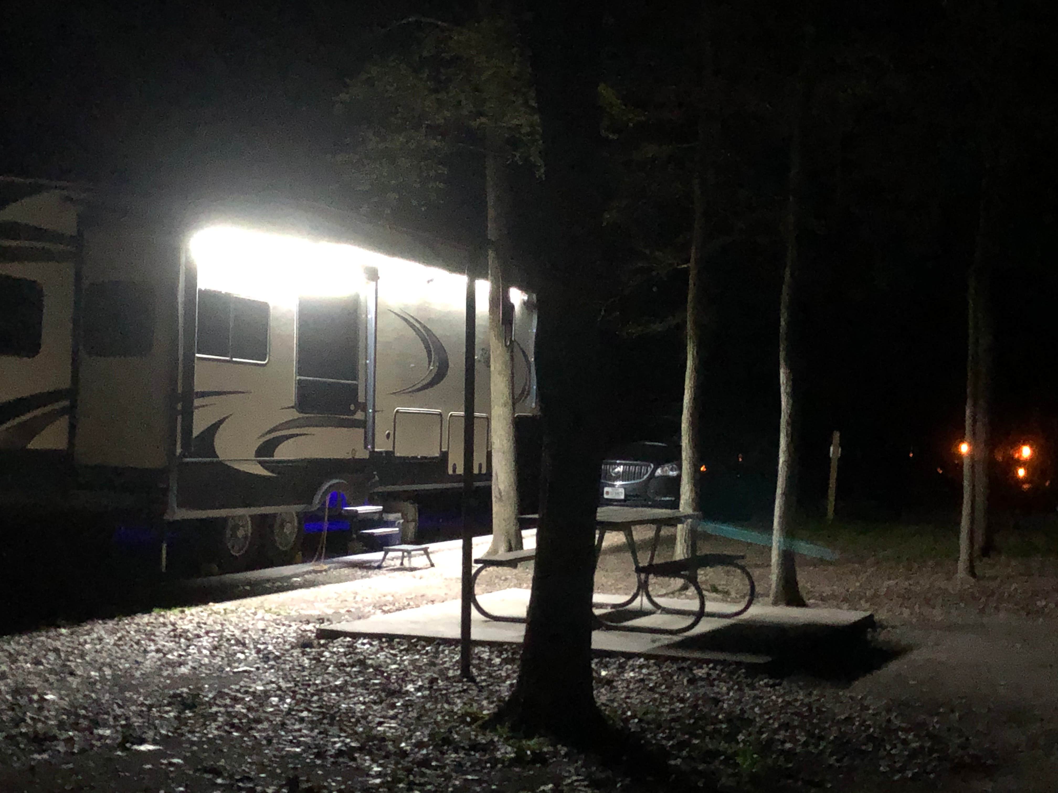 Camper submitted image from Palmetto State Park Campground - 5