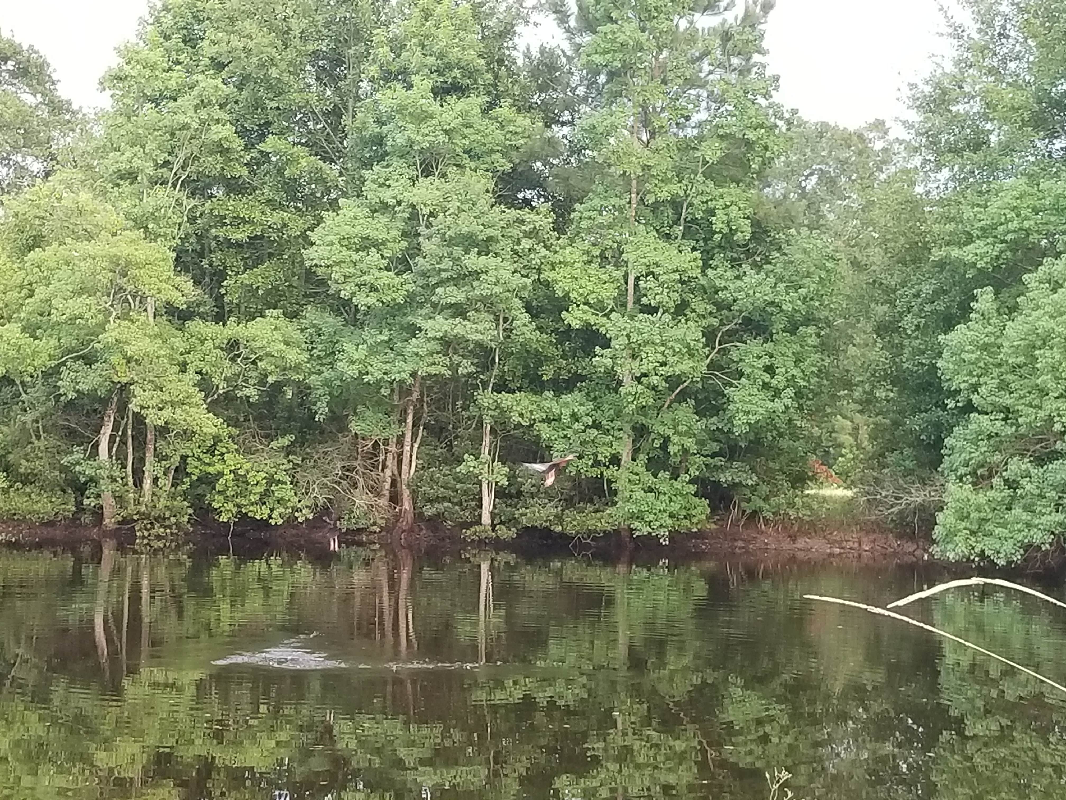 Camper-submitted photo at The Good Life RV Park near Kennard, TX