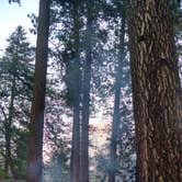 Review photo of Housekeeping Camp — Yosemite National Park by Thomas H., July 7, 2016