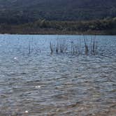 Review photo of Lake Casitas Recreation Area by Bower , October 18, 2020