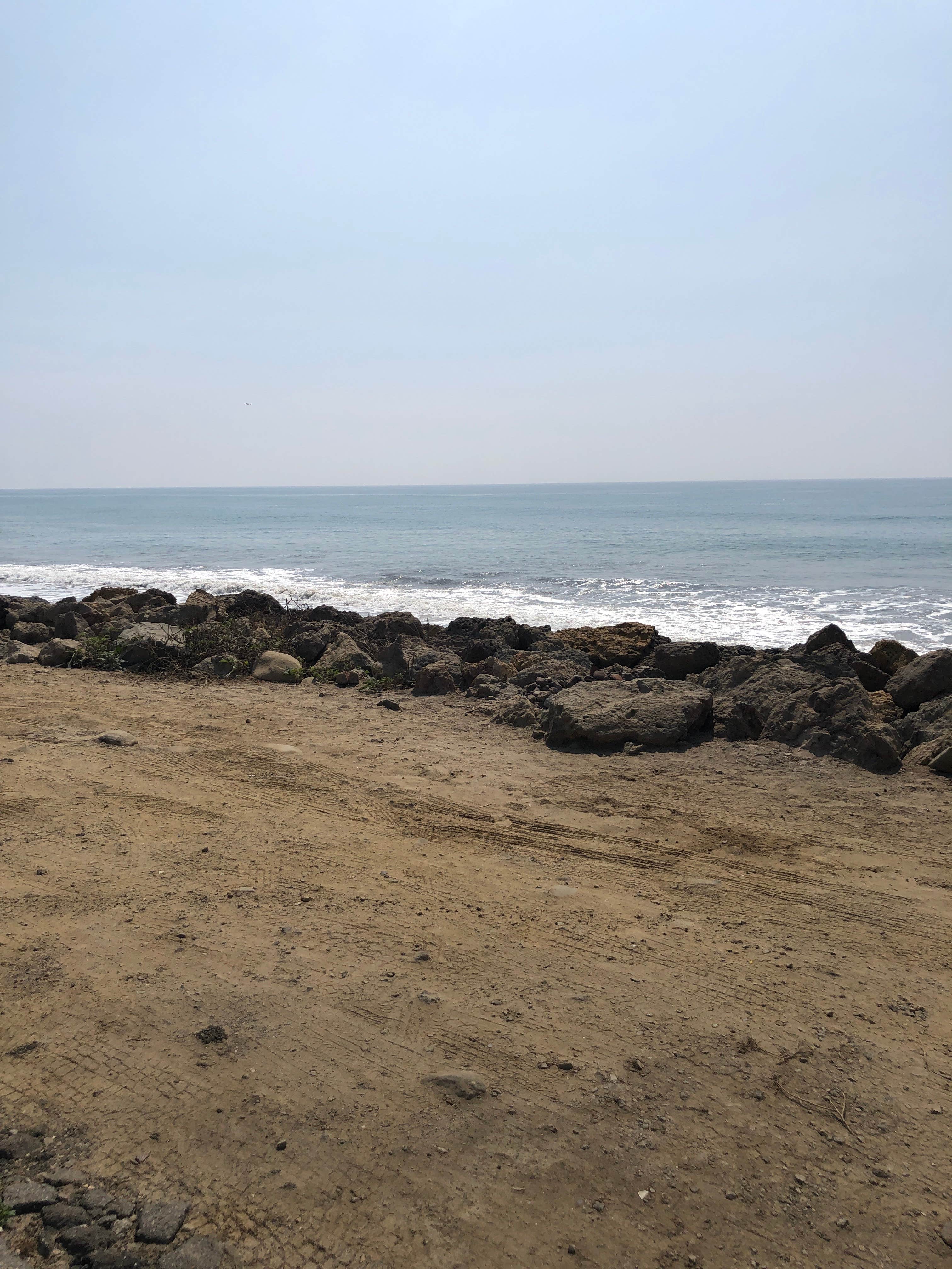 Camper-submitted photo at Emma Wood State Beach near Ventura, CA